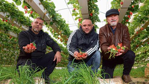'A person who lives with dignity doesn’t seek war': the Palestinian farmers feeding Israel