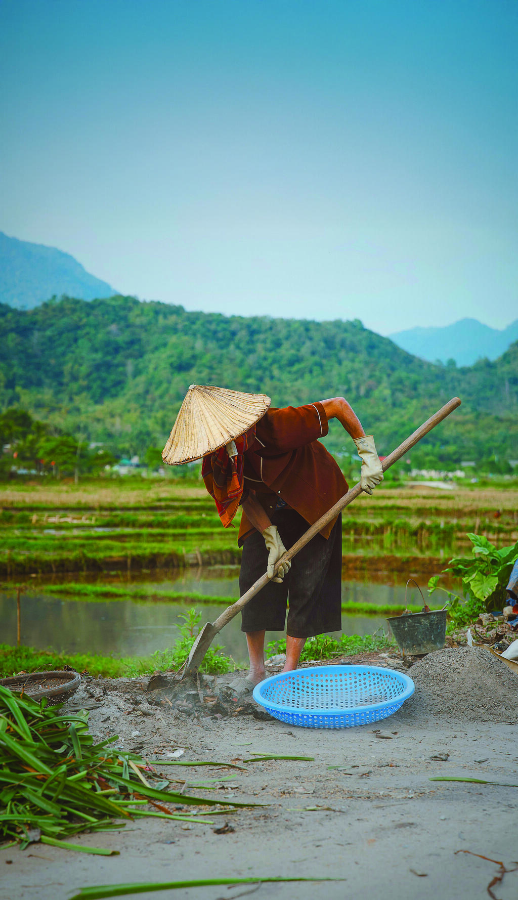 שדות האורז. מעבדים את השדות בשיטות ידניות