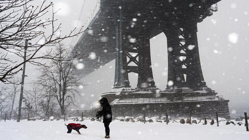 NYC declares emergency as blizzard hits