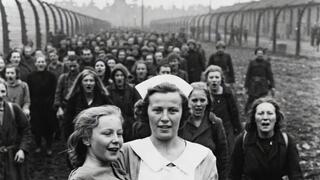 תמונה שהופצה ברשת. הסיפור אמיתי, התמונה מזויפת