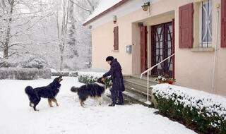 "האחו הקטן". נעשו כאן דברים מחרידים | צילום: באדיבות כאן 11