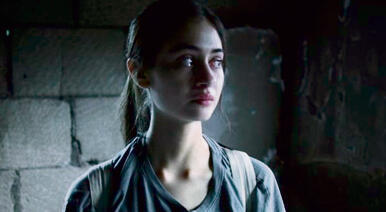 מתוך "על כלבים ואנשים" | צילום: זיו ברקוביץ