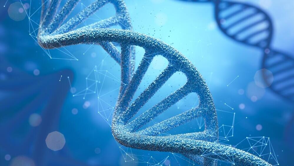 Your genetics account for about 50% of your expected life expectancy (Photo: Shutterstock) גנטיקה דנ"א