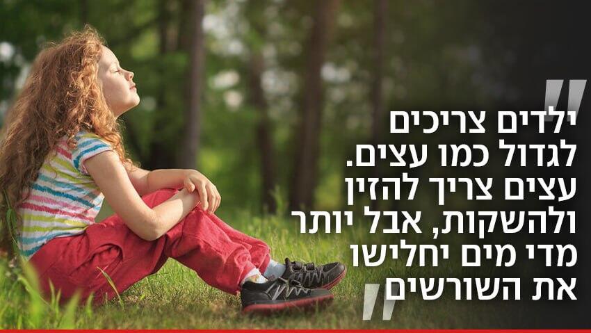 צילום: Shutterstock חוקי חיים, מתוף ספרו של ג'פרי כץ