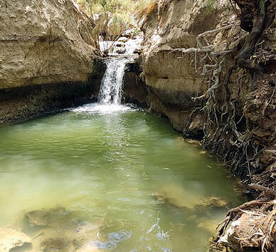 צילום: ערן ודוד גל־אור צילום: ערן ודוד גל־אור