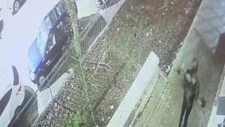 תושב נוף הגליל הצית את דלת ביתה של אחותו: "מנהלת אורח חיים שלא לטעמו" תושב נוף הגליל הצית את דלת ביתה של אחותו: "מנהלת אורח חיים שלא לטעמו"