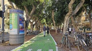 עצים בשדרות רוטשילד בתל אביב