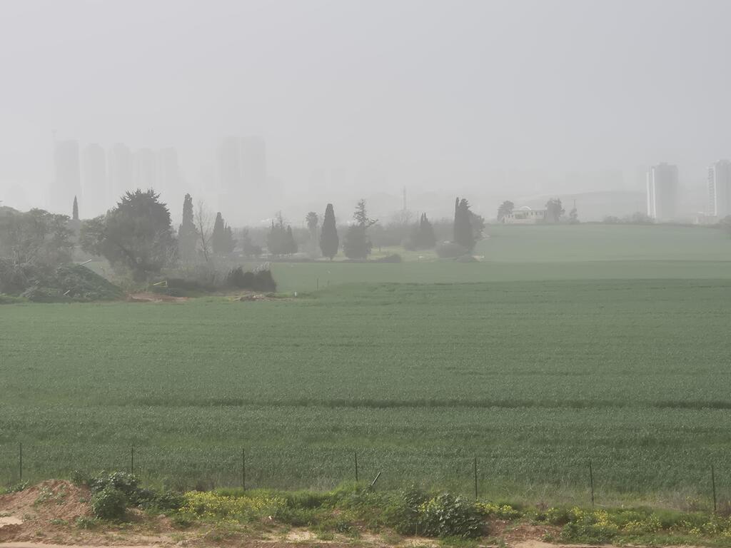 אובך באזור השרון (צילום: רענן בן צור) אובך באזור השרון