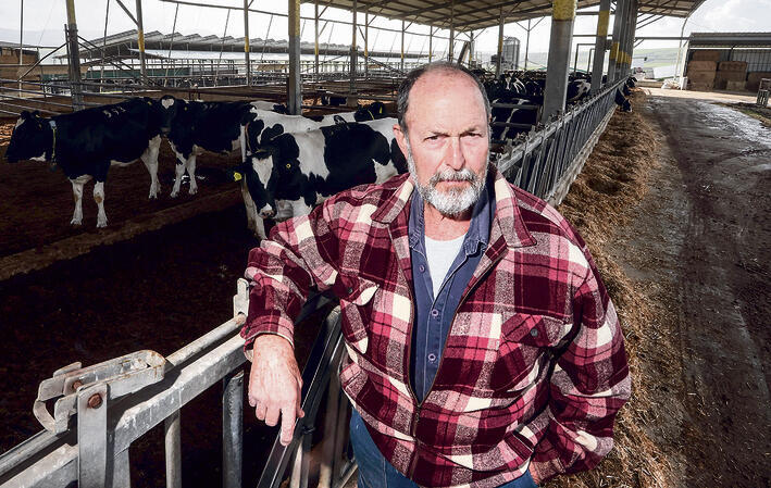 עוזי דובלין, רמת צבי