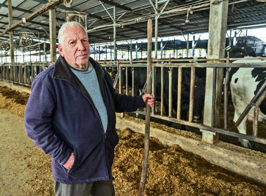 מושיק כהן, בית שערים