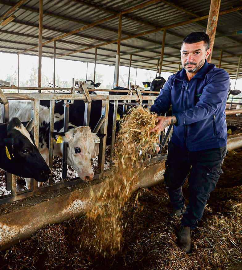 רותם בדש, מושב גילת