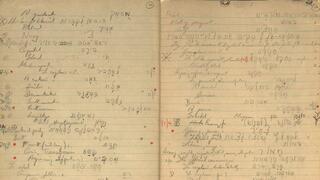 "זה צריך להיות אצלכם, בישראל": מחברת העברית של "הידיד" הבריטי הגיעה ארצה