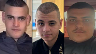 31 נרצחים ב-35 ימים, והלם בטירה: "מה רצו מהם?"