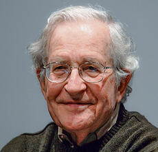 חומסקי (ULF ANDERSEN, Aurimages via AFP) חומסקי