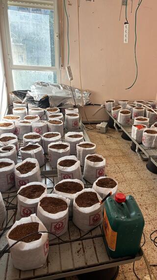 הדירה לפני ואחרי