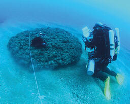 שוניות  מול חופי  הגליל