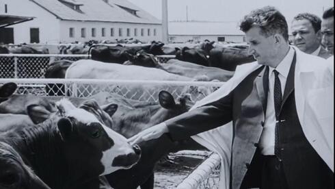 'Chicken coops and farms for Jews'