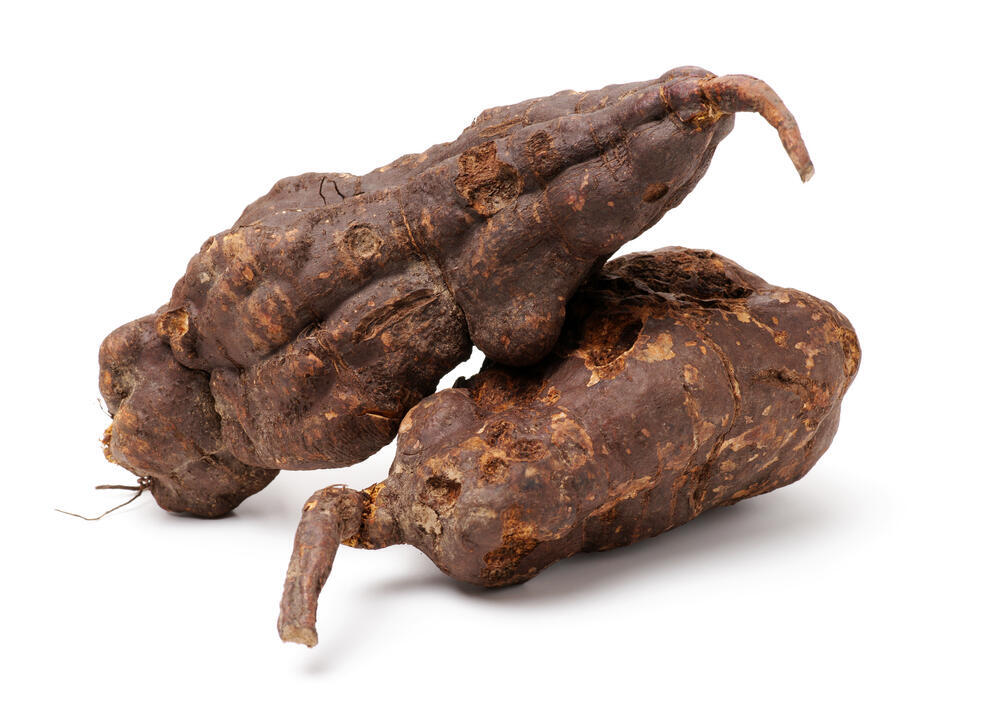 פוליגונום מולטיפלורום