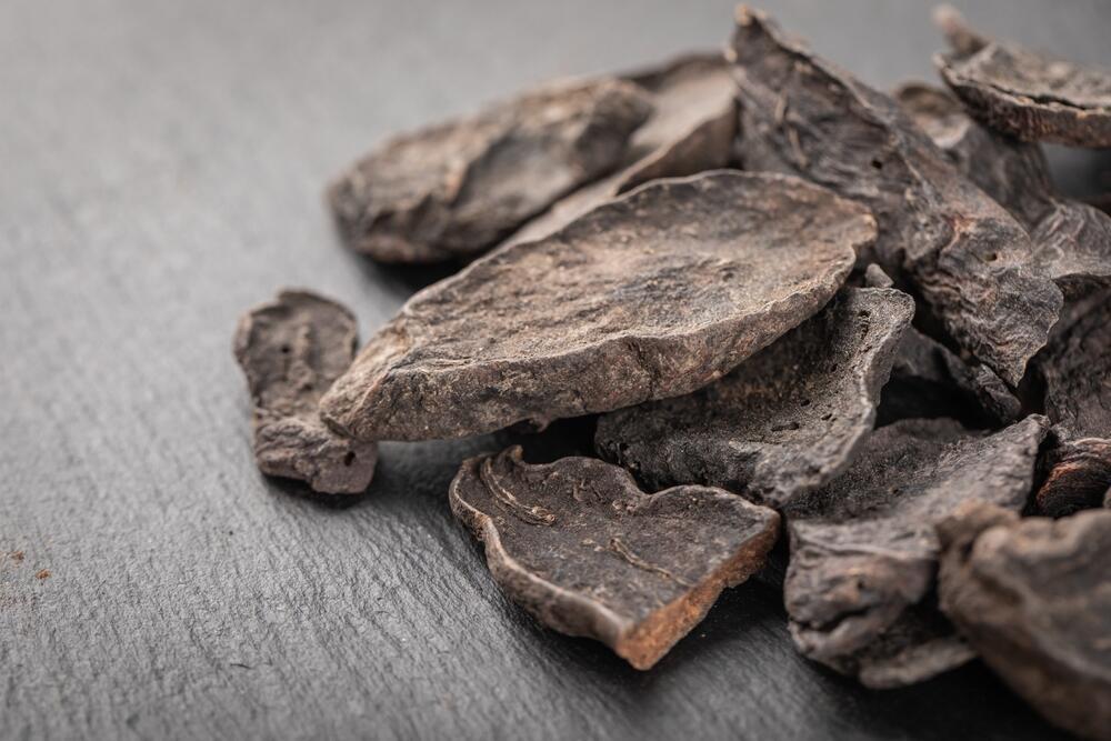 פוליגונום מולטיפלורום