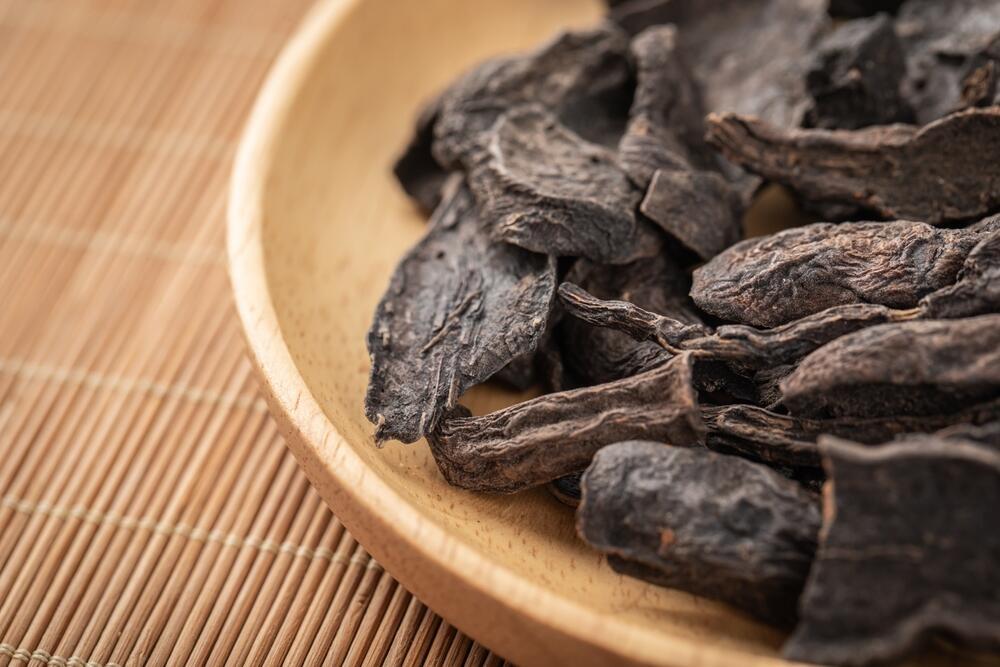 פוליגונום מולטיפלורום