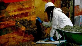 שיחזור ציורי הקיר בבית המגורים המפואר מהמאה הראשונה לפני הספירה, בו התגוררה פופיאה סבינה