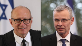 חצי חצאים אלכס שטיין ויריב לוין שופט בית המשפט העליון