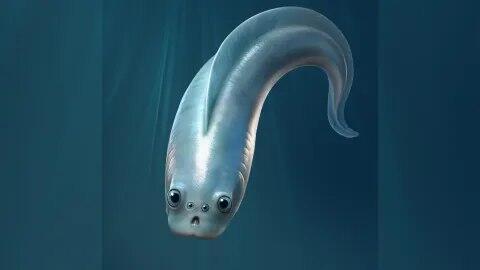 עם 4 עיניים. היצור הקדום עם 4 עיניים. היצור הקדום