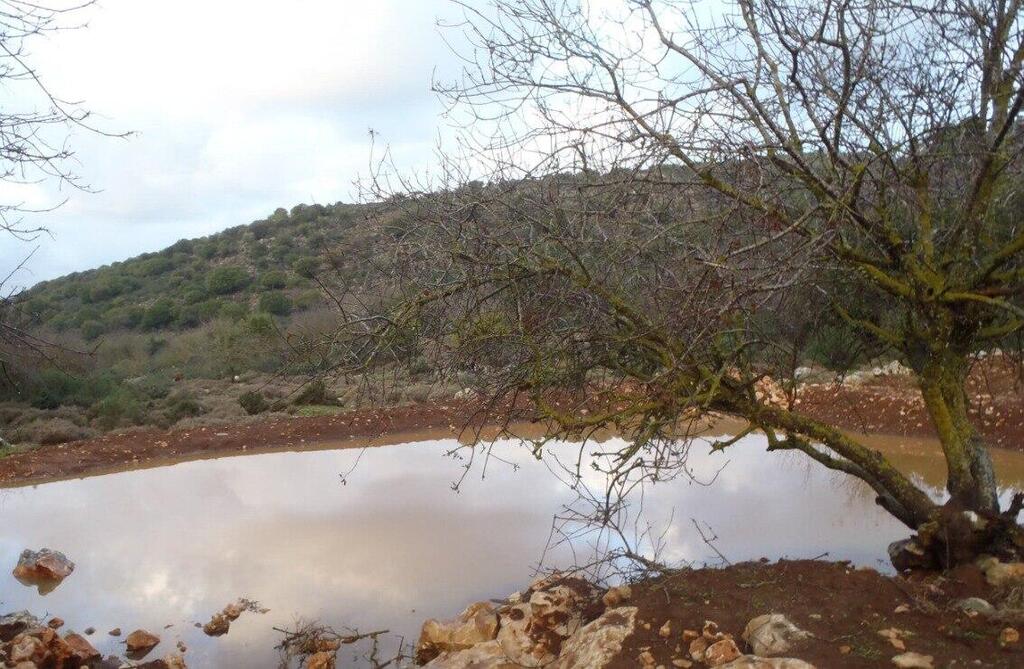 בריכת מים (צילום: יפתח סיני) בריכת מים