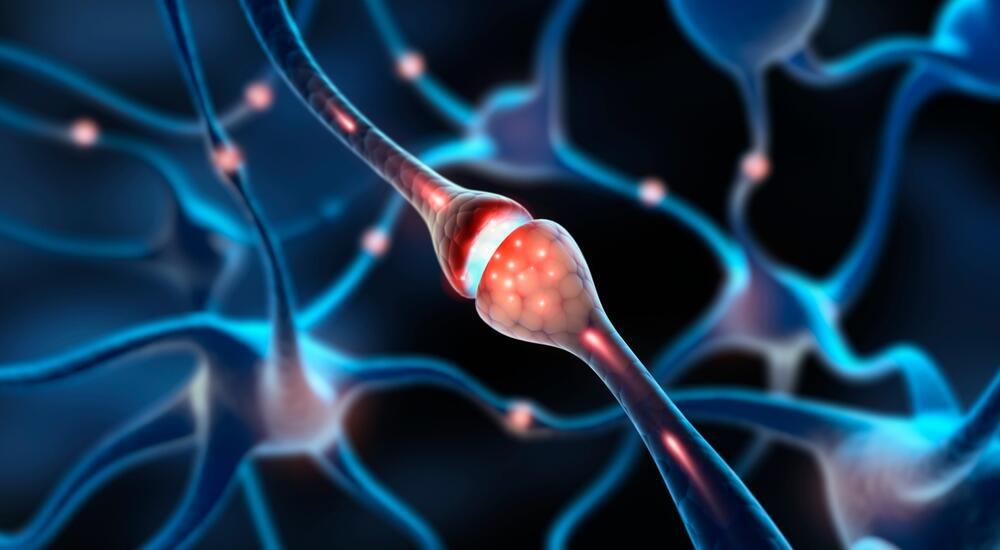 Connections between nerve cells in the nervous system (Photo: Shutterstock) המחשה של חיבור בין תאי עצב במערכת העצבים. איור תלת-ממדי