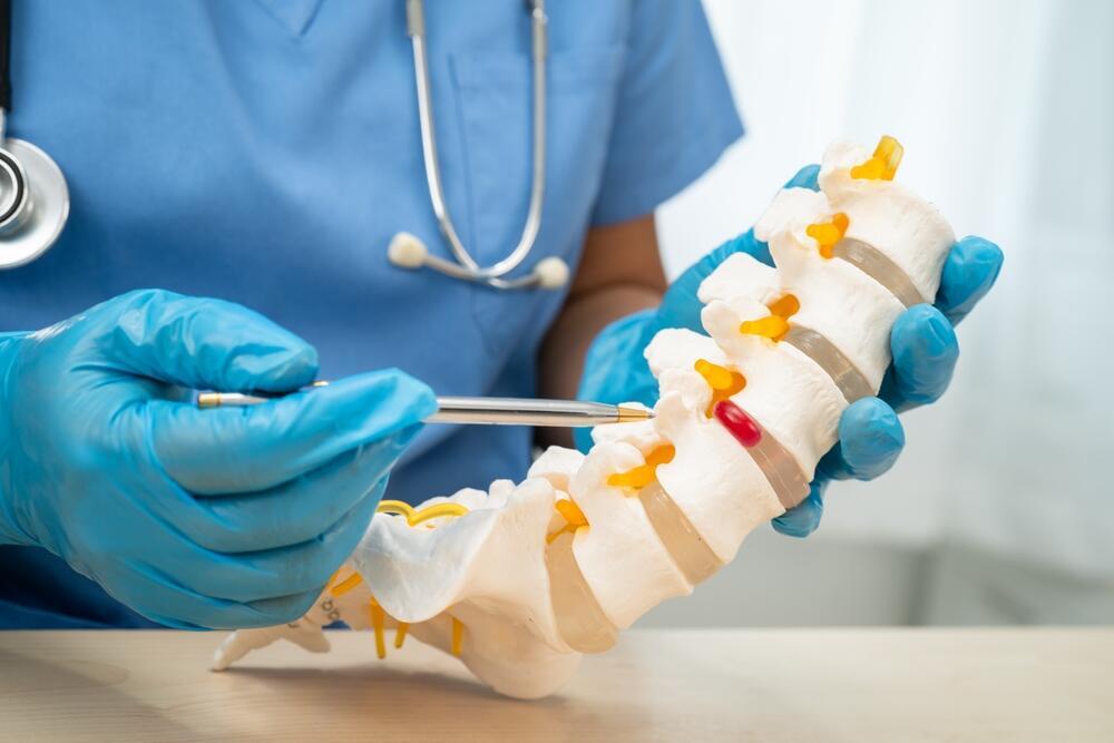 Lab-grown human spinal cord tissues were used to examine injury and repair processes (Photo: Shutterstock) עמוד שדרה, חוט שדרה