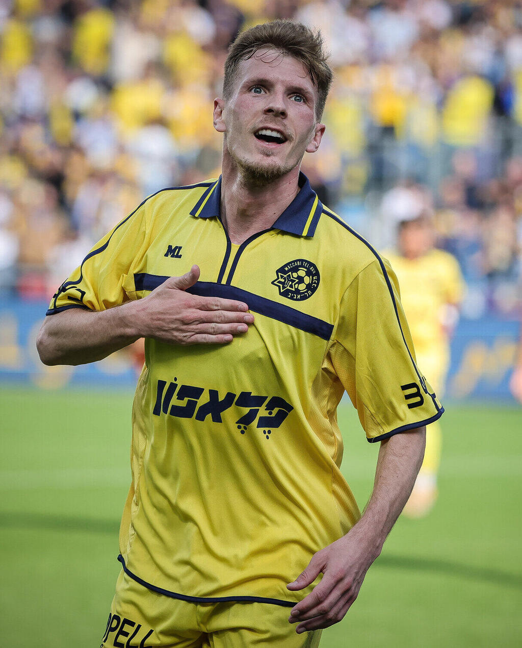 אמיר סאהיטי.  שער ובישול  בבלומפילד