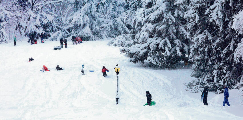 סנטראל פארק