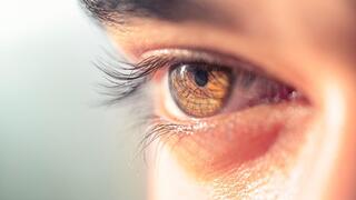 העין האנושית