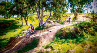 מסלול אופניים סינגל בארי