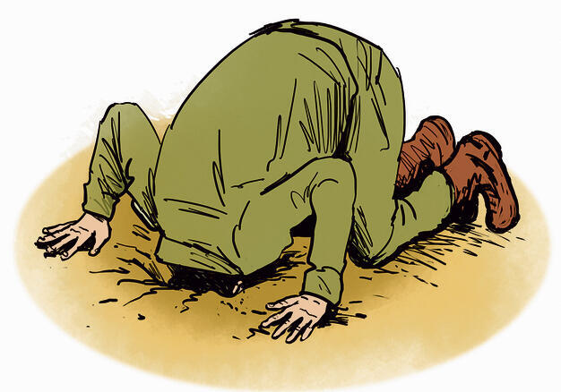 איור: גיא מורד