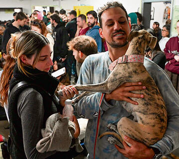 דואגים גם לכלבים במקלט בתל־אביב (יובל חן) דואגים גם לכלבים במקלט בתל־אביב