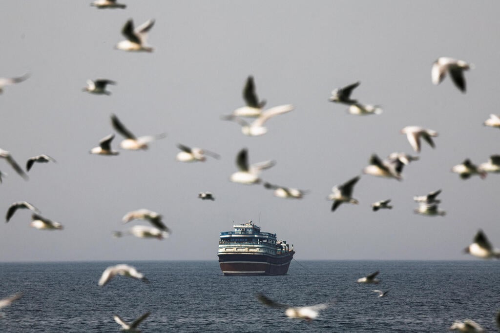 מצר הורמוז (צילום: REUTERS/Amr Alfiky) ציפורים עפות ב מיצרי הורמוז