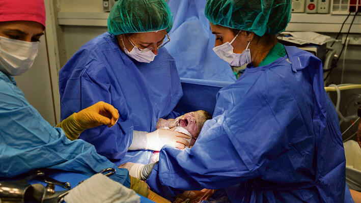 צילום: זיו קורן (Ziv Koren) צילום: זיו קורן