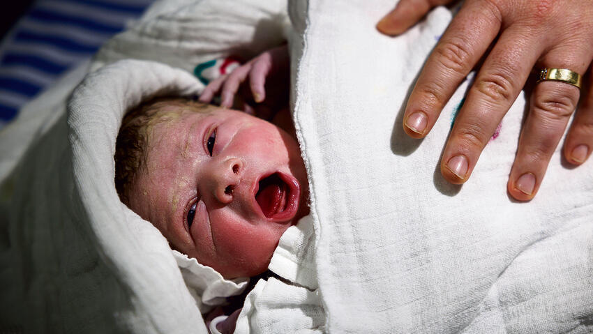 צילום: זיו קורן (Ziv Koren) צילום: זיו קורן