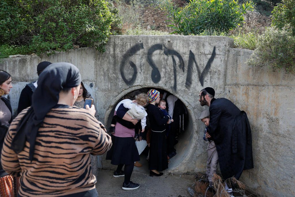 צילום: REUTERS/Amir Cohen שורש