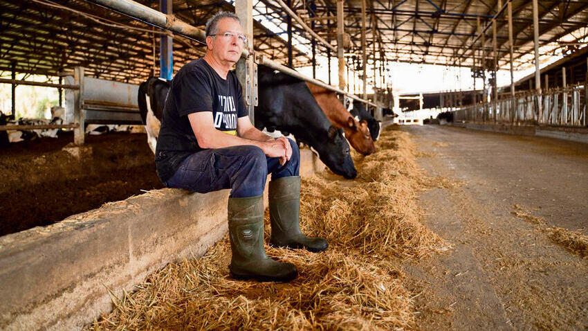 "לאפשר לנו להחזיק פה את החקלאות". שגיא ברפת בקיבוץ אילון | צילום: אודי אלדרוטי