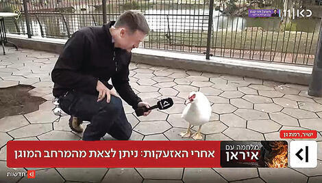 צריך לתחזק את העורף מול החיות