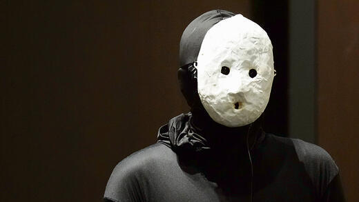 אנונימיות או הסתרת זהות תמיד היו קלף חזק בספרות ובאמנות. אוקטסו | צילום: