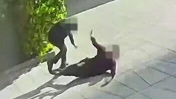 תיעוד רגעי הדקירה ברמת גן