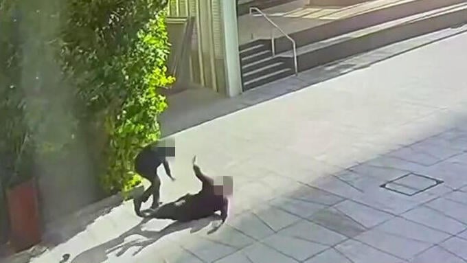 תיעוד רגעי הדקירה ברמת גן (צילום: שימוש לפי סעיף 27א בחוק זכויות יוצרים) תיעוד רגעי הדקירה ברמת גן