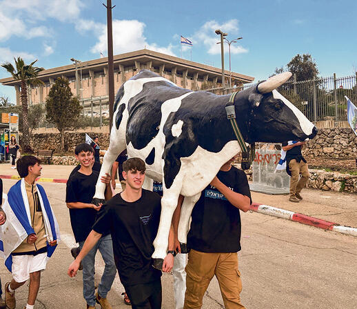 צילום: גיל יוחנן