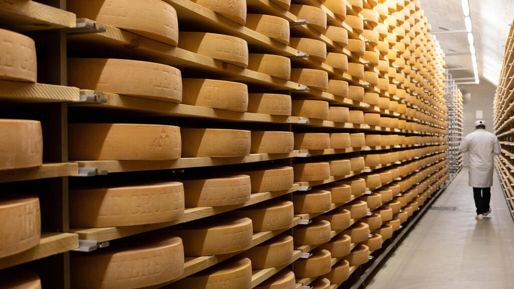 Cheese aged in caves beneath Blüemlisalp, where mountain air shapes their character