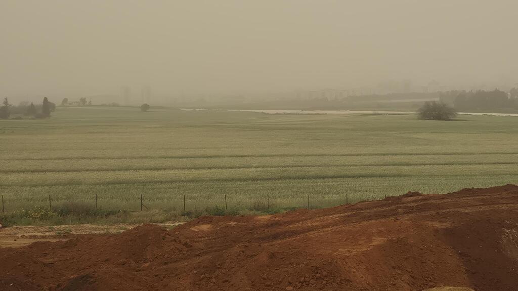 צילום: רענן בן צור אובך בנתניה