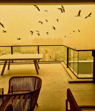 גבול בת־ים–ראשון־לציון | צילום: דורית זיו, מהמייל האדום