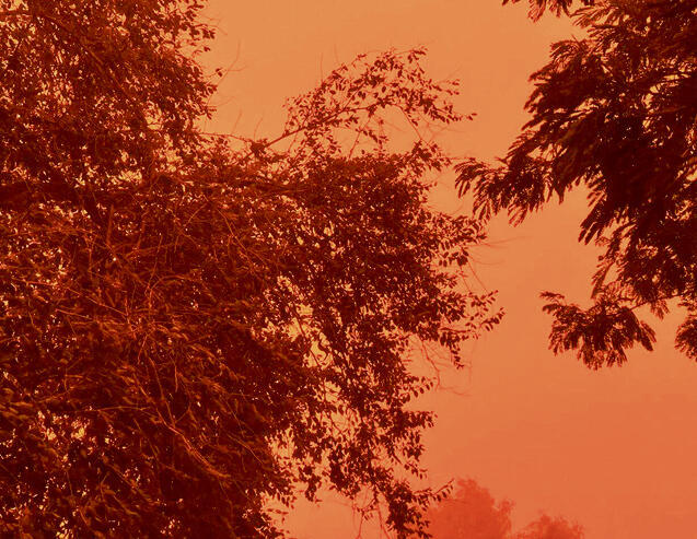 עוטף עזה | צילום: חיליק מגנוס